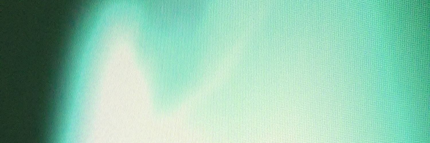 gowithdflo's profile banner image