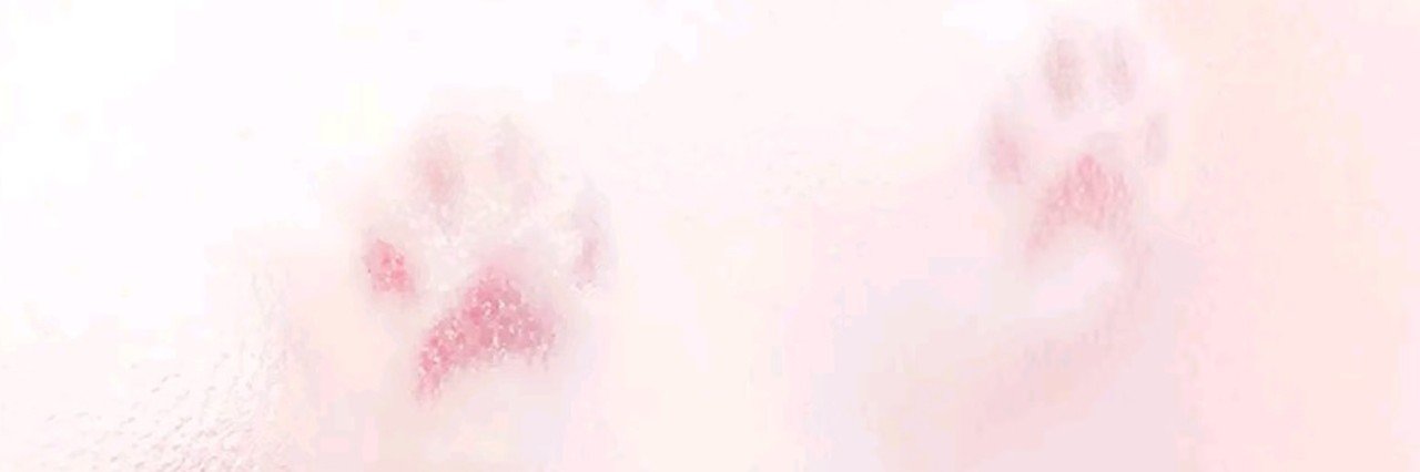 feliksbay's profile banner image