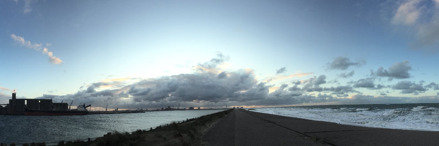 Emmanuel Vaillant banner