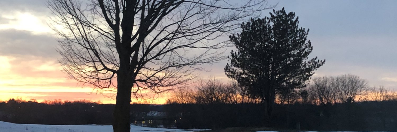 hmolea's profile banner image