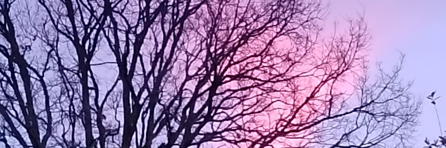 GrahamPlants's profile banner image