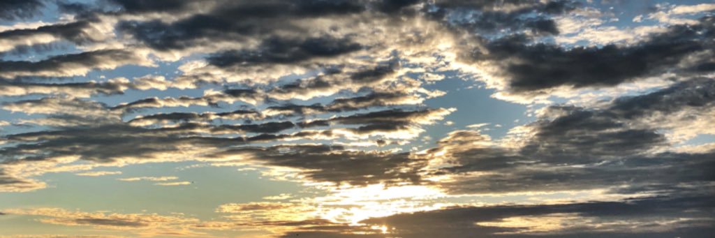 Caaaameron's profile banner image