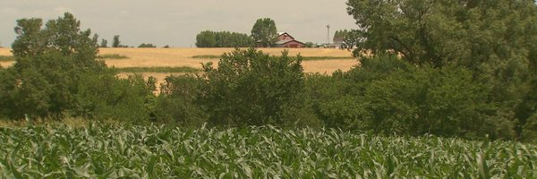 MarketToMarket Profile Banner