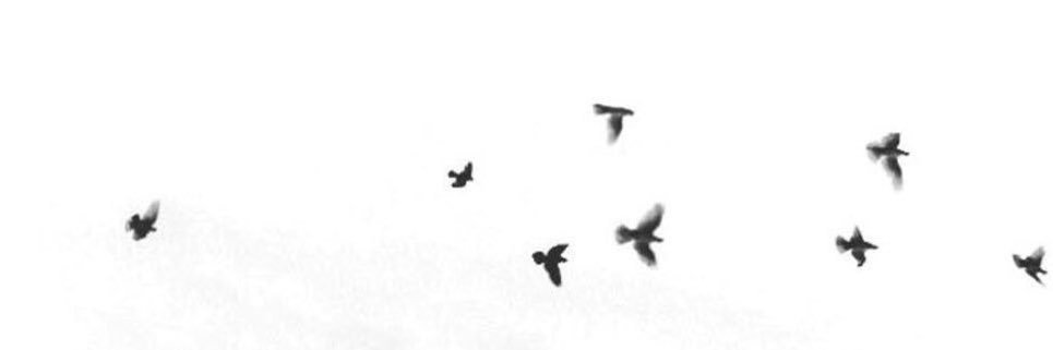 BALSAM_22's profile banner image