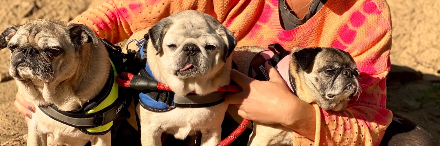 Michelle Beadle banner