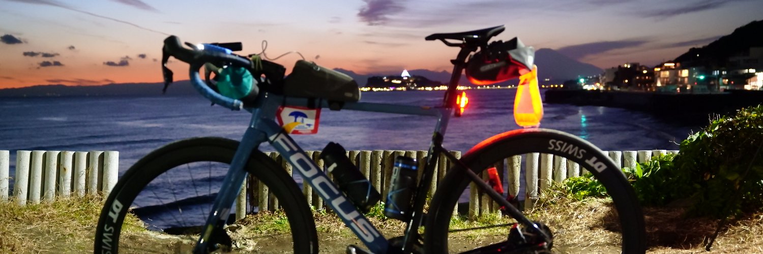 Trinity is 2万km/年走っても痩せないうまなみさん banner