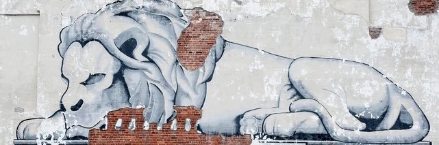 devdawgy's profile banner image