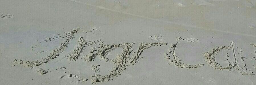 _ingridss2's profile banner image