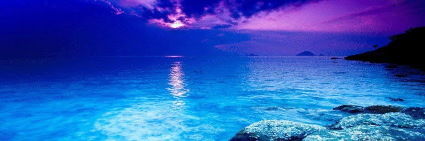 Vanessa Fisher banner