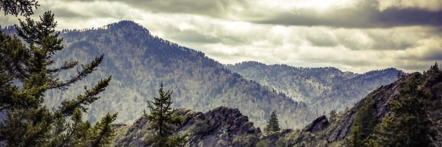 ScottWarren7's profile banner image
