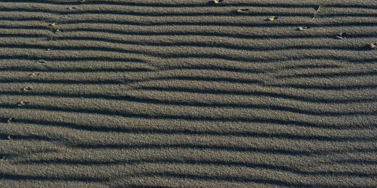 Laura Fergusson banner