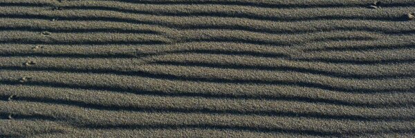 pinkeple Profile Banner