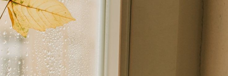 𝙨 𝙖 𝙨 𝙖 • banner