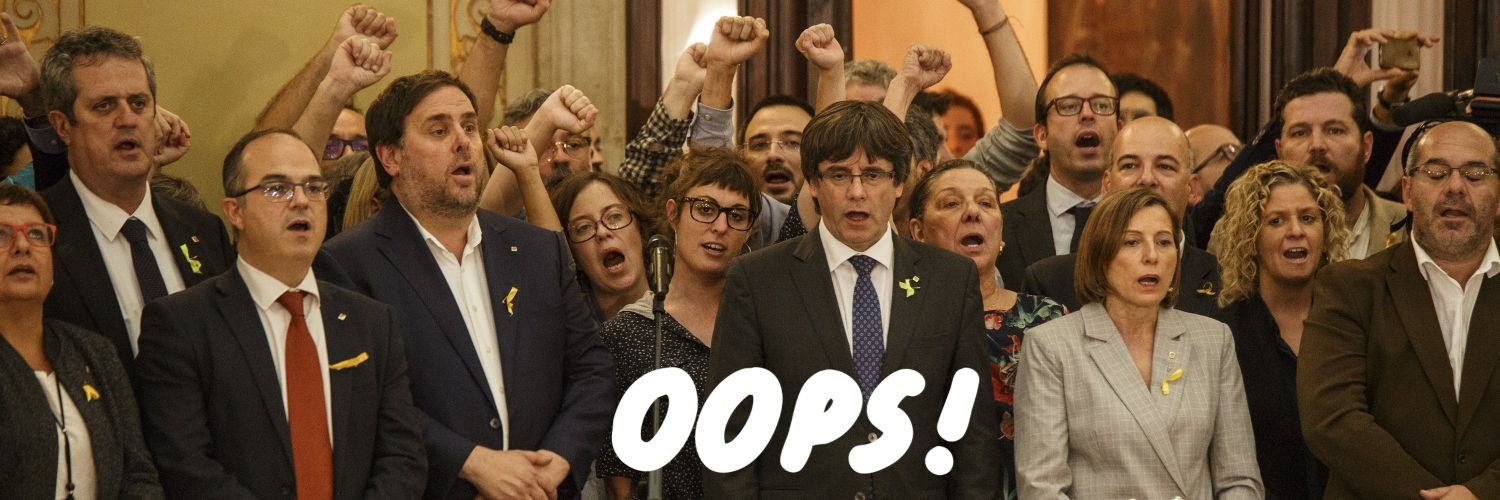 Alcem Catalunya banner