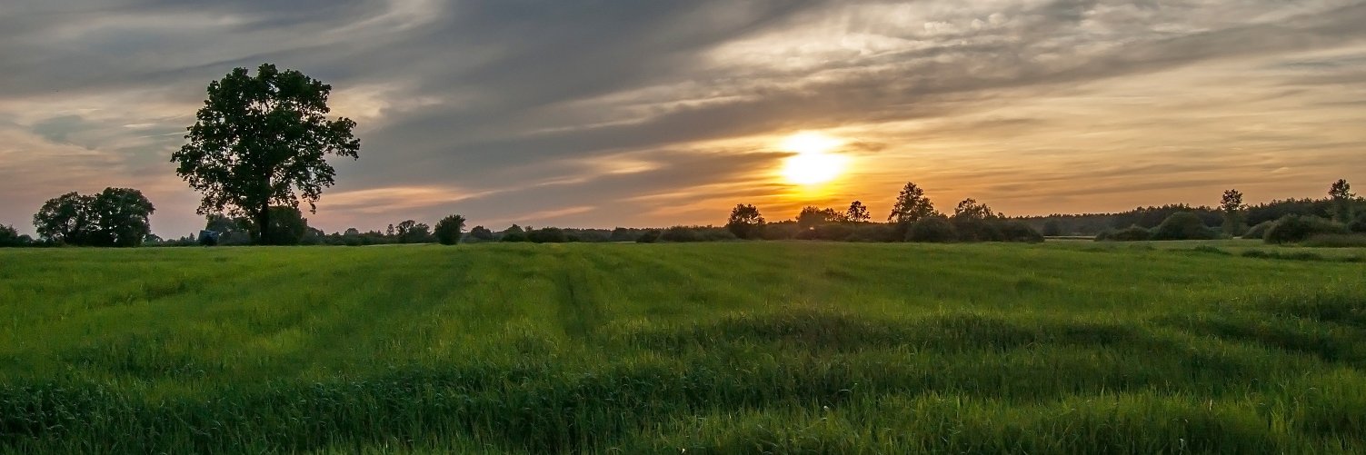 Darek Banaszuk banner