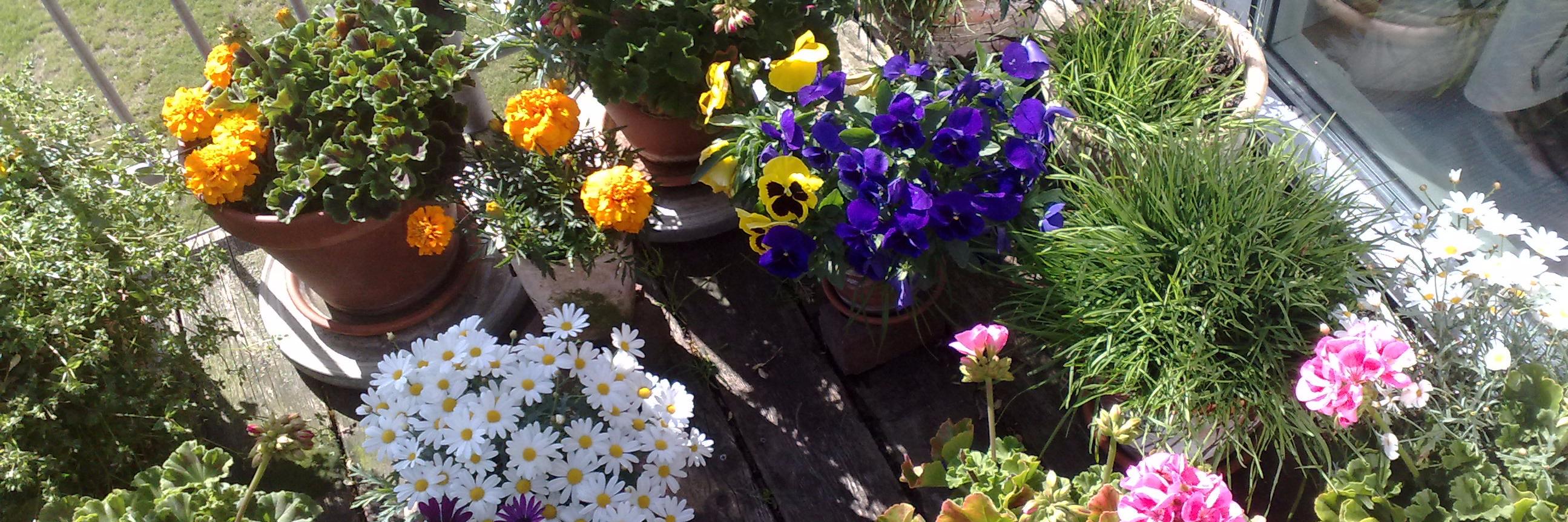 BAdelborg's profile banner image