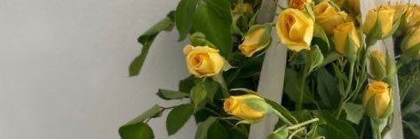 MichellRyan's profile banner image