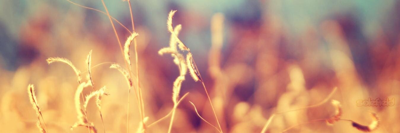 xbumasx's profile banner image