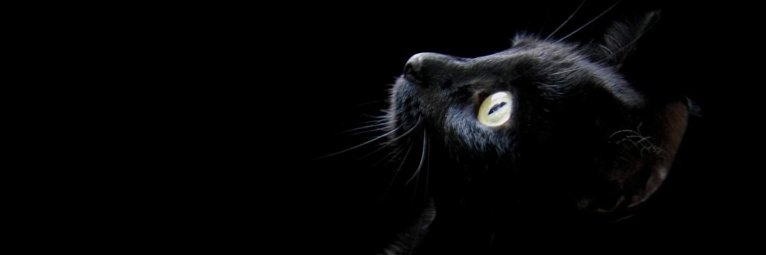 bhebeqBODOH's profile banner image