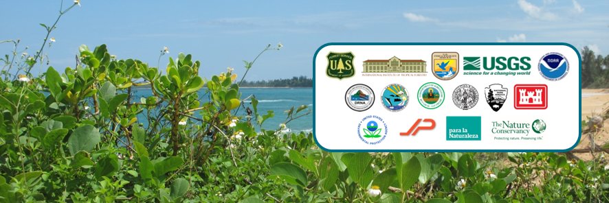 Caribbean Land & Sea banner