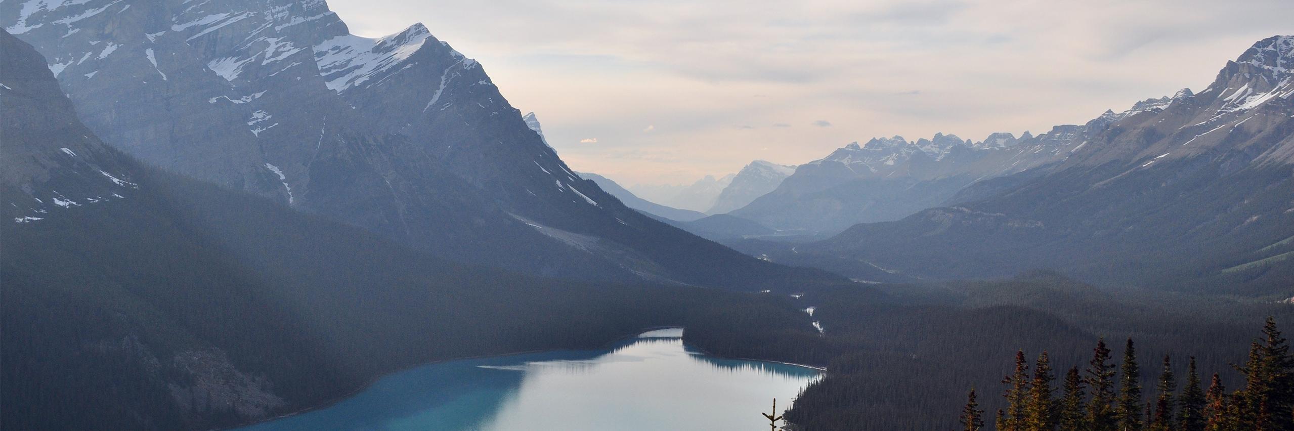 Sam Bible 🇺🇦 banner