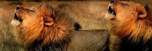 GavTitchSmith's profile banner image