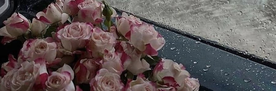 شوق🦋. banner