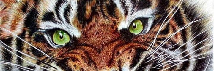 foadliswi's profile banner image