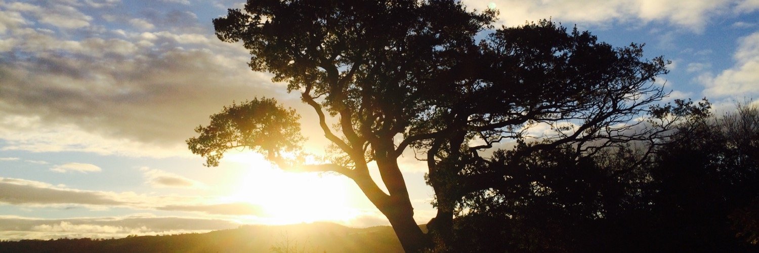 Sara Macpherson banner