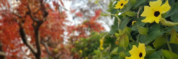 DanyAlos Profile Banner
