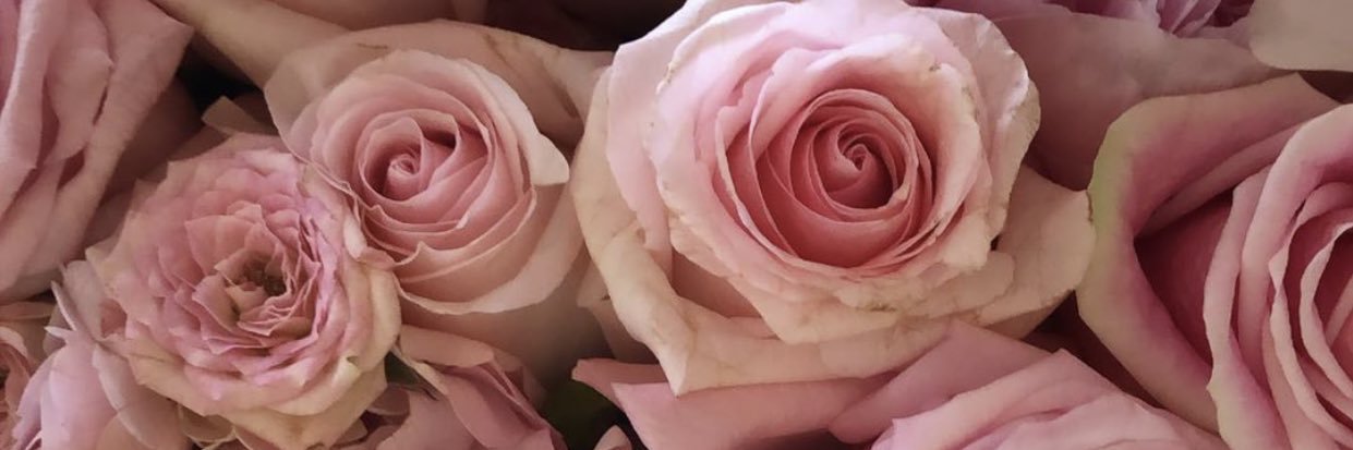 sanafama's profile banner image