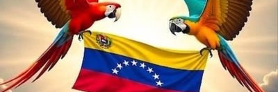 Anaida M Camero R. banner