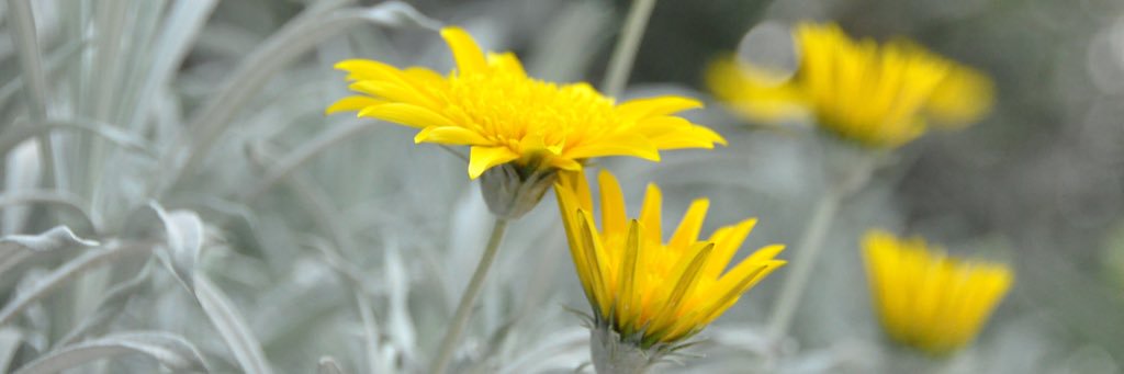 Kellyng10's profile banner image