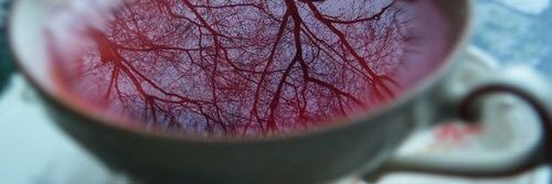 Keswick WildStrawb banner