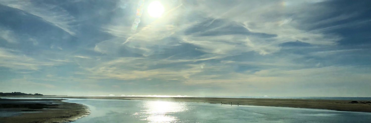 Judith15986's profile banner image