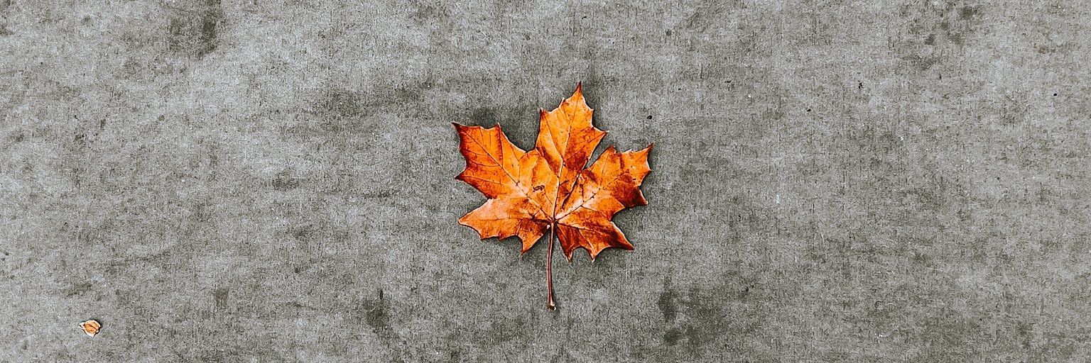 i28x__'s profile banner image