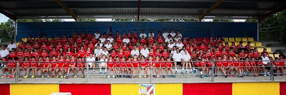 CescFàbregasAcademy banner