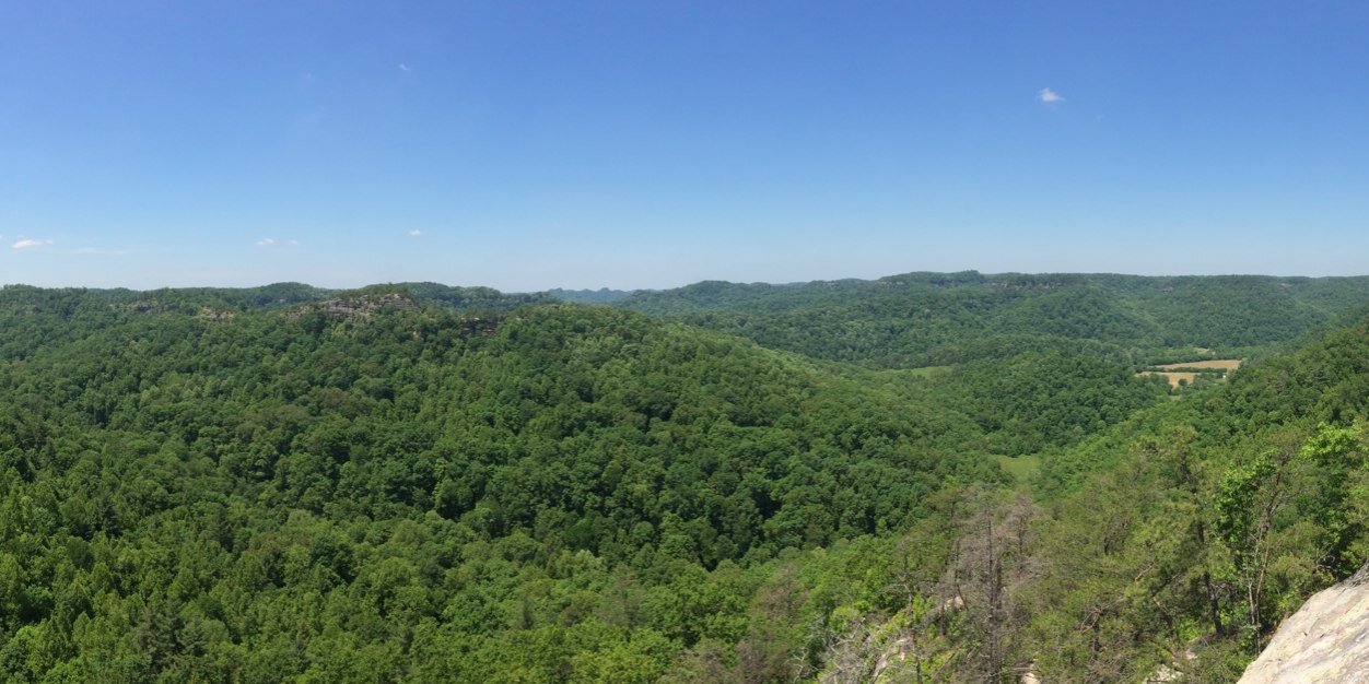 Nathaniel Stephens banner