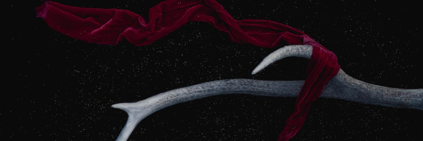 fidanaydinn's profile banner image