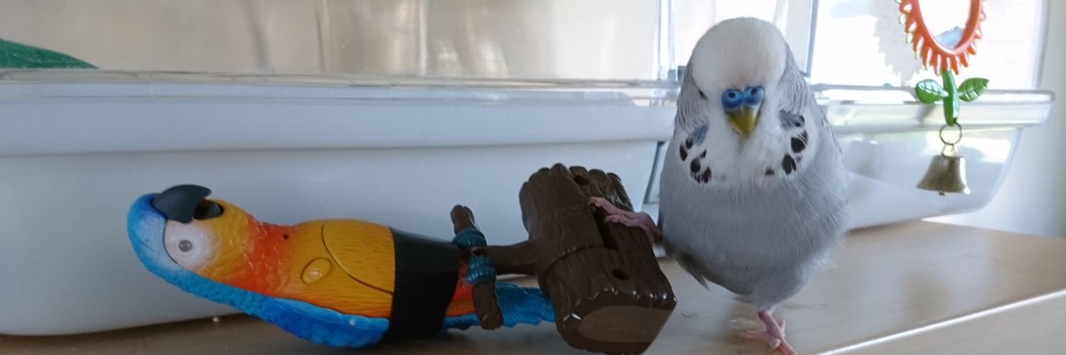 weefeeb's profile banner image