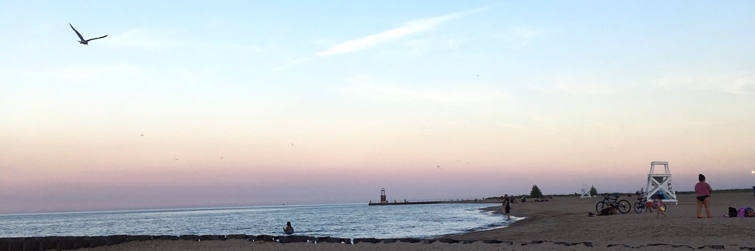 Deirdre Lavin banner