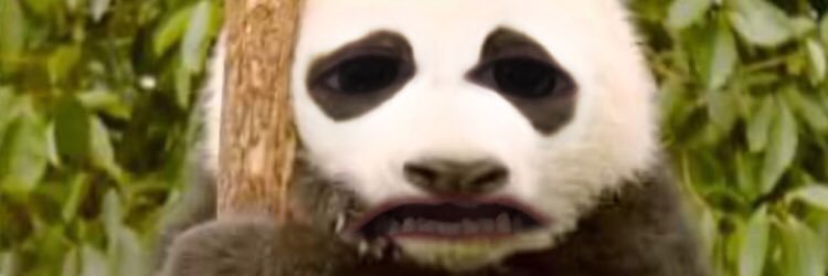 SAustin29's profile banner image