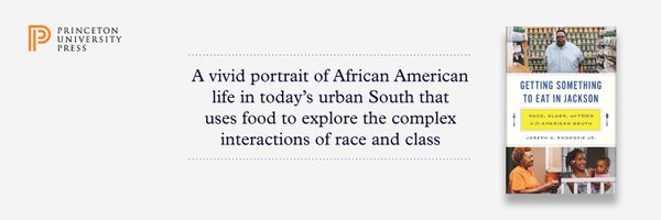 piko_e Profile Banner