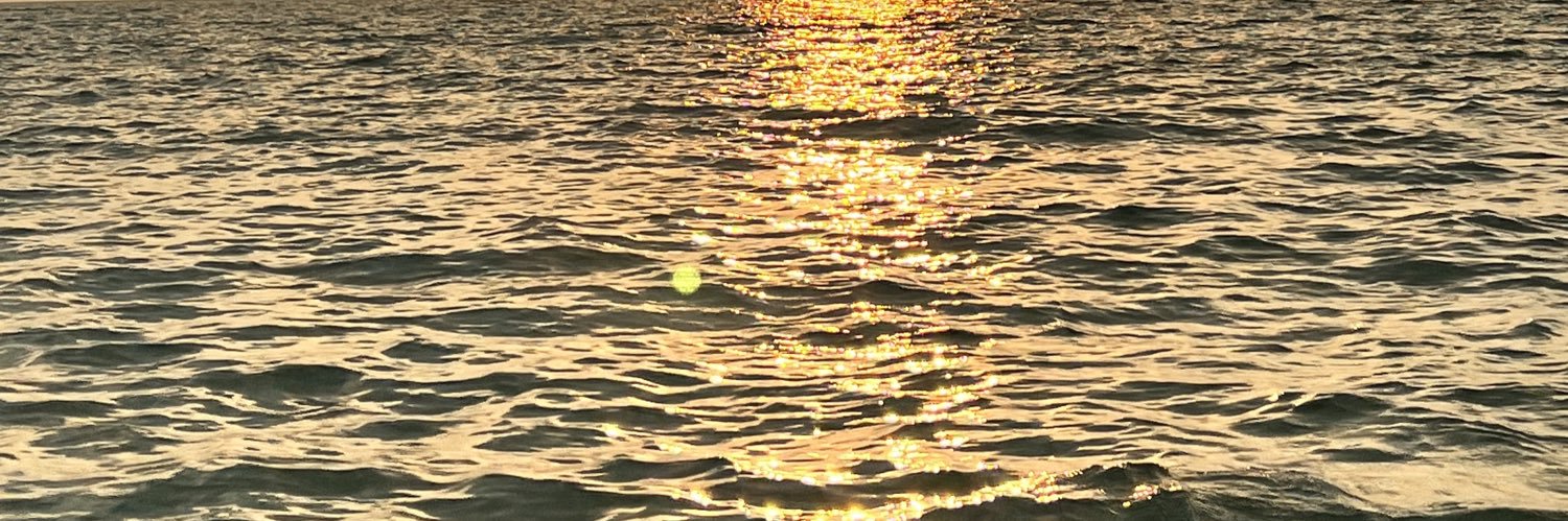 PriyankaSarahT's profile banner image