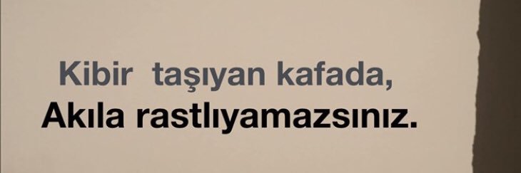 ZaZa banner