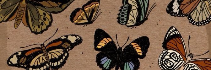 kayla__mac's profile banner image