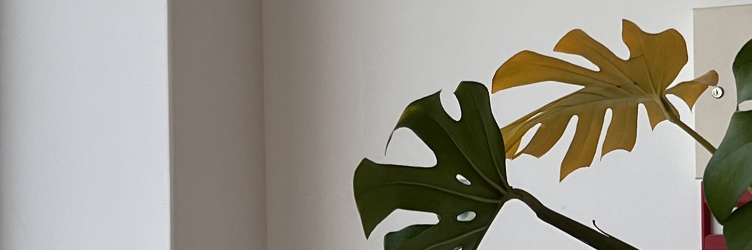 L1k30's profile banner image