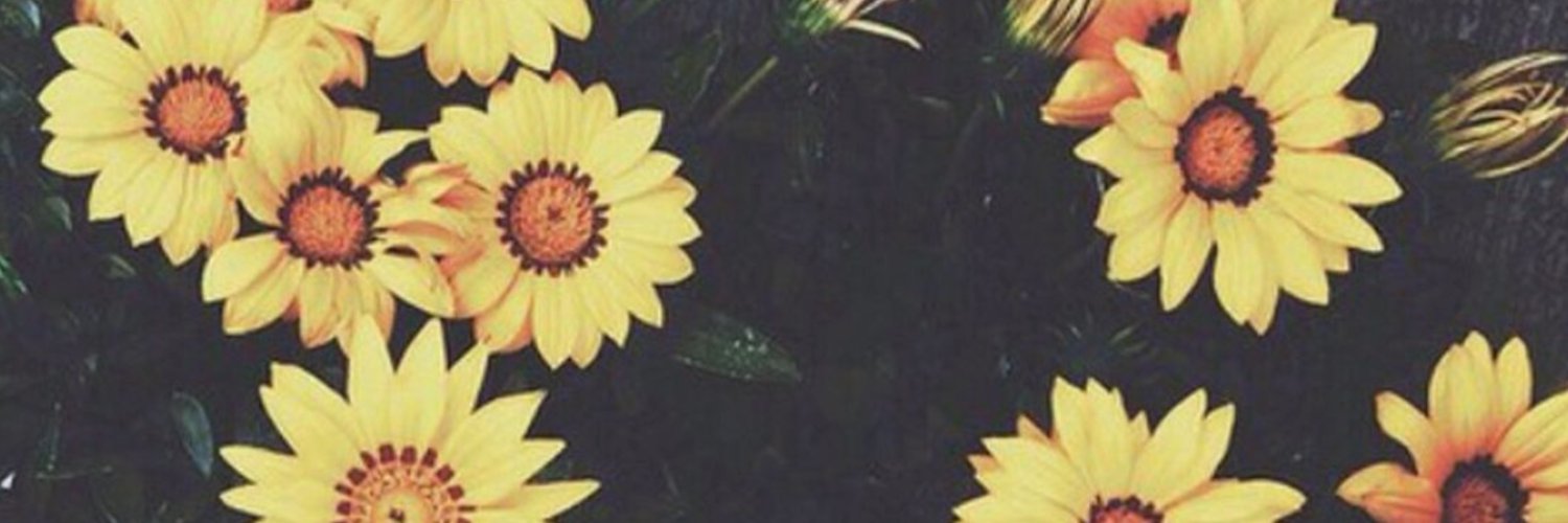 leenapend's profile banner image