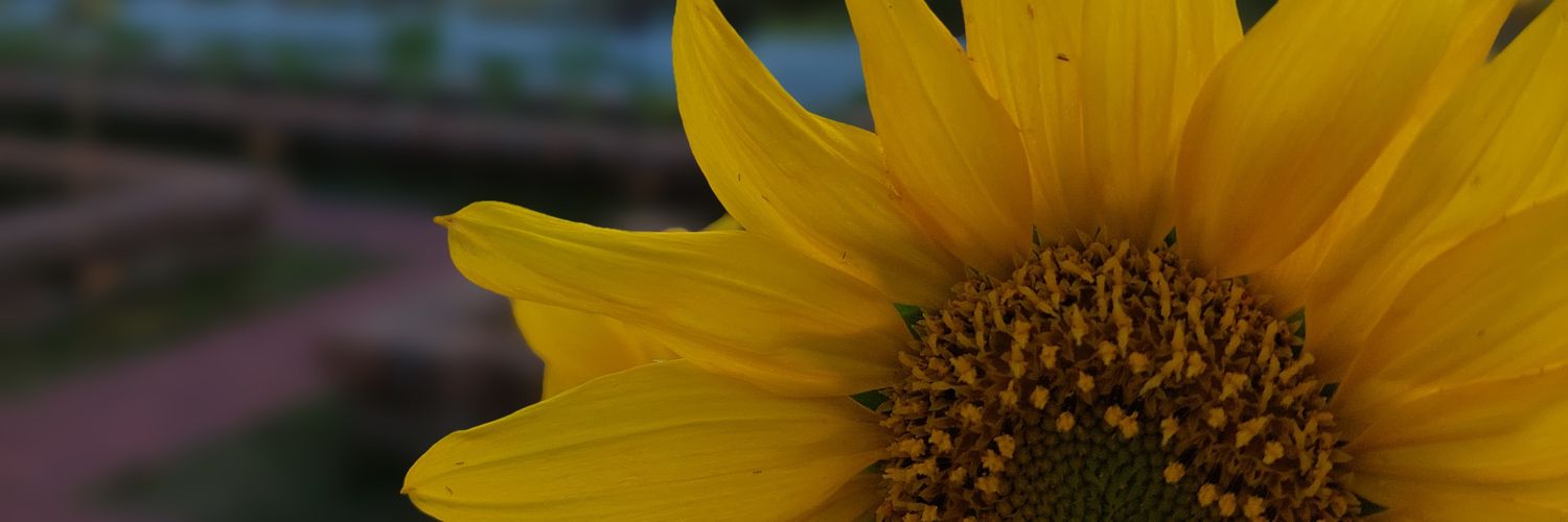 ___prsc's profile banner image