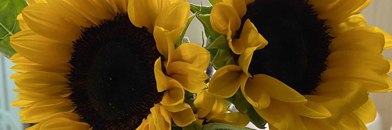 techari1017's profile banner image